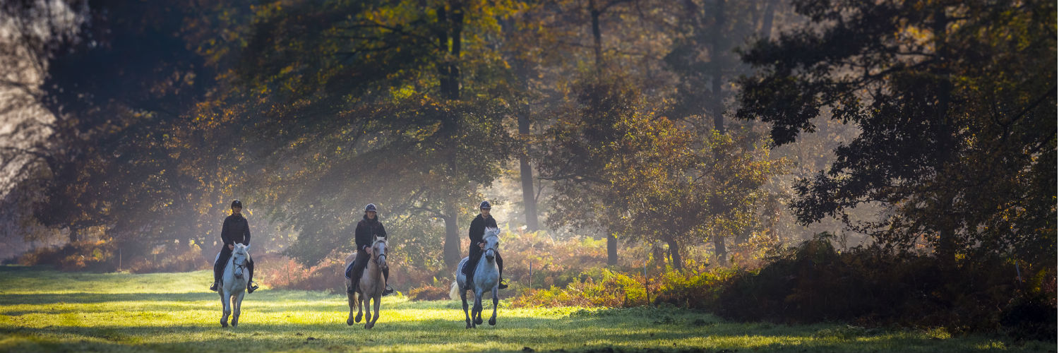 Le Petit Bois de Saint-Laurent à cheval