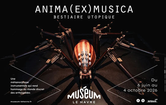 Exposition : Anima (Ex) Musica