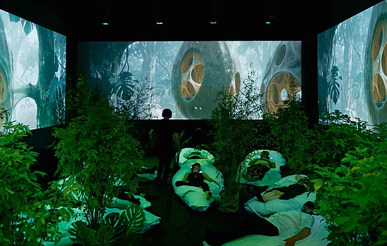Sleep for Earth