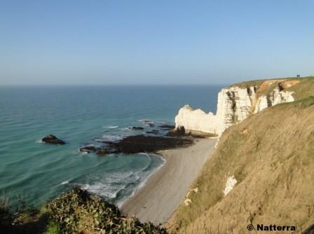 NATURE DECOUVERTE : le dimanche matin avec Natterra sur la falaise à Etretat