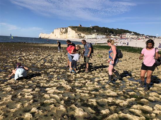 Pêche à pied