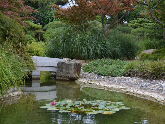 Der Entdecker: Japanischer Garten
