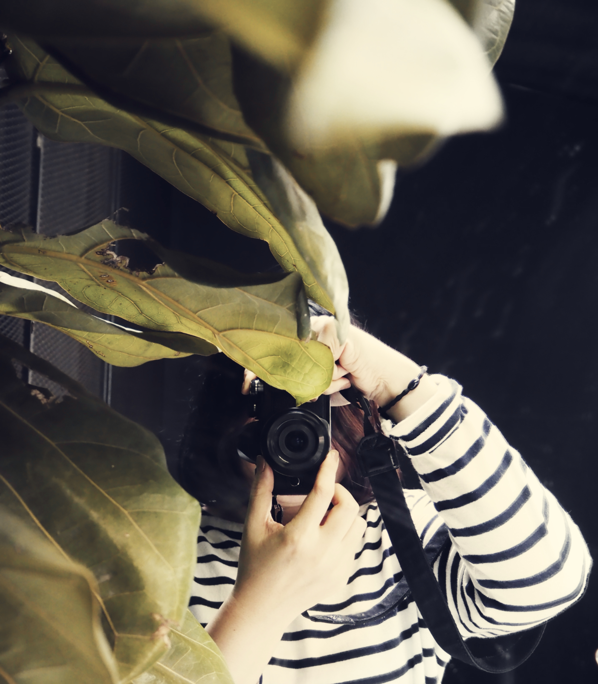 [Exposition photos] Plancton plastique d'Elisabeth Schneider
