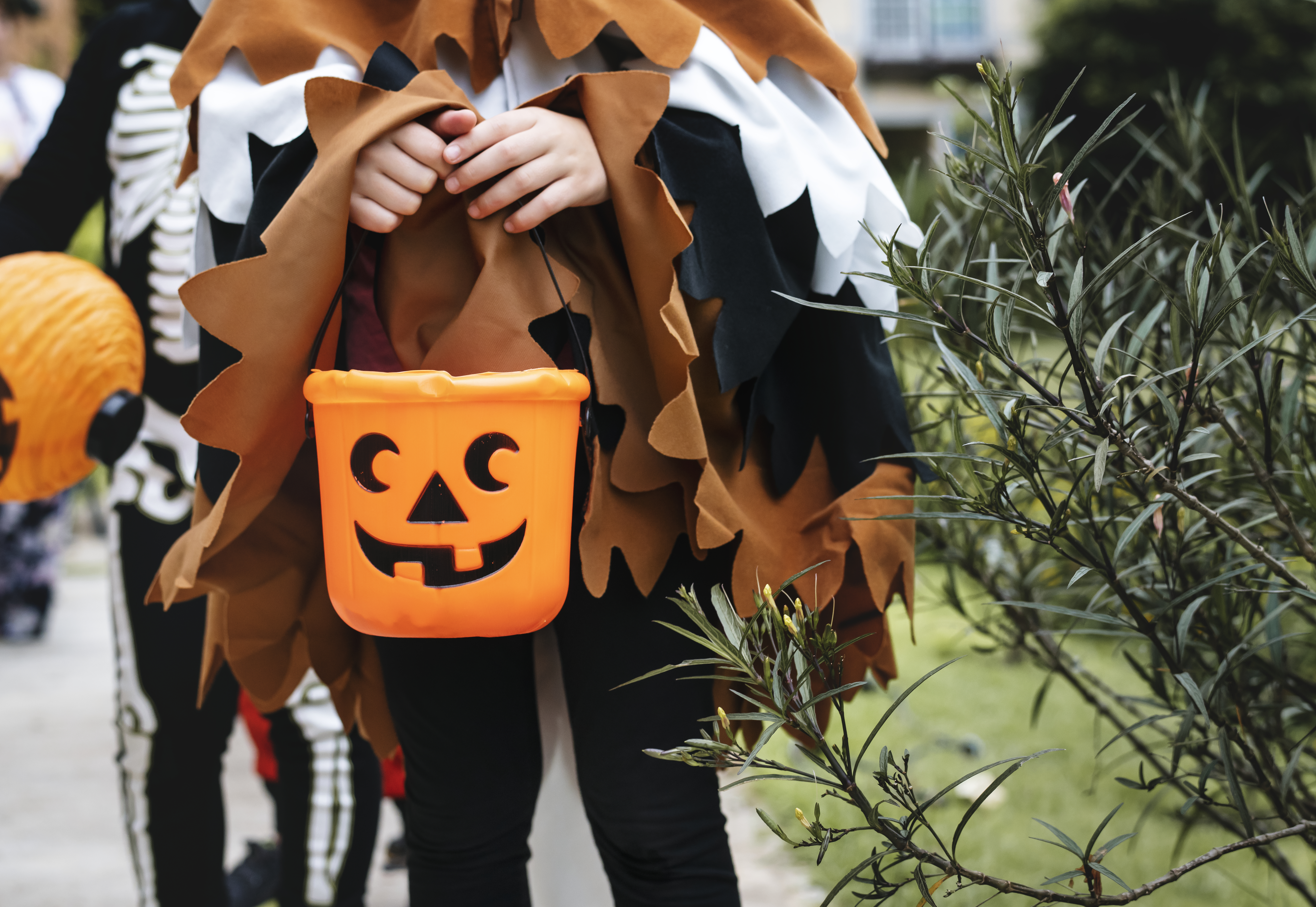 [Fête d'Halloween]